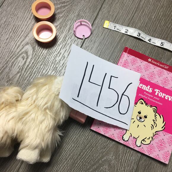 American Girl Friends Forever Pamper your playful Pomeranian Toy - Picture 8 of 8